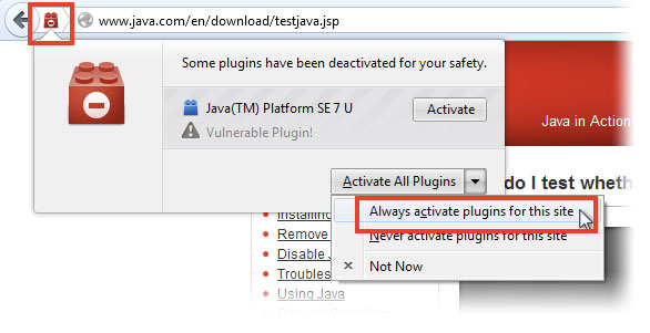 Java plugin for Firefox